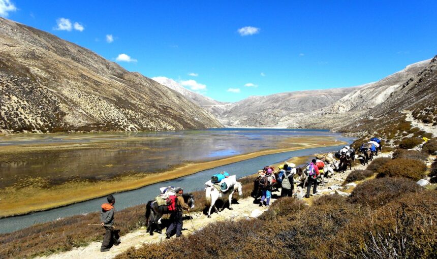 Limi Valley Camping Trek